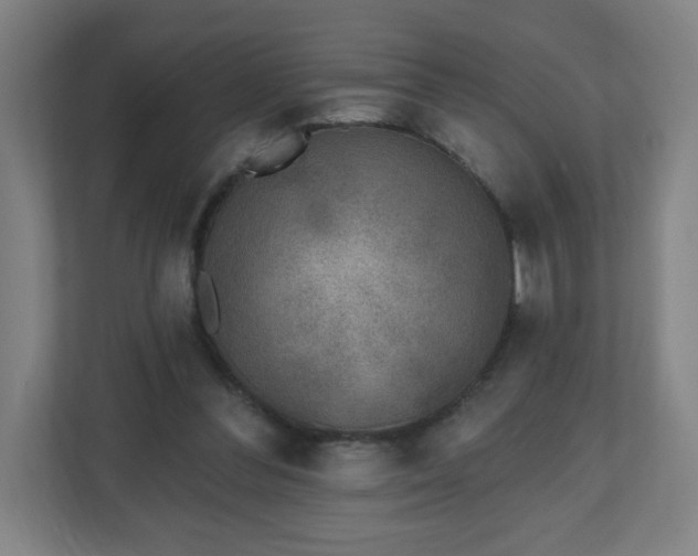 X0000110880300200906251254
