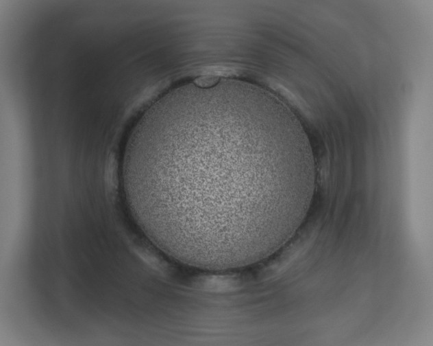 X0000110880303200906251254