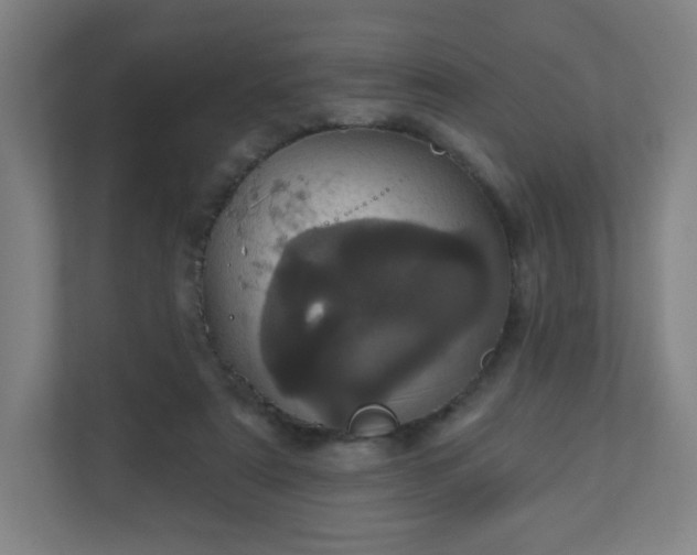 X0000110880307200906251254