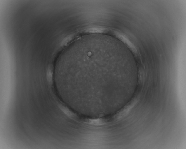 X0000110880309200906251254