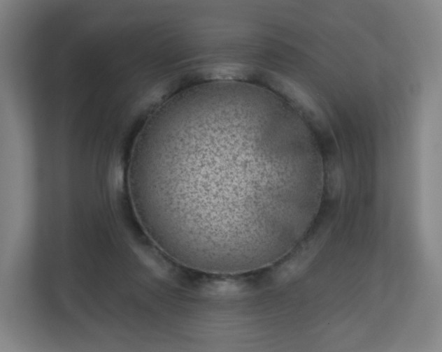 X0000110880310200906251254