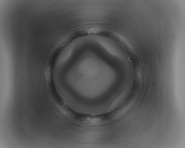 X0000110880311200906251254