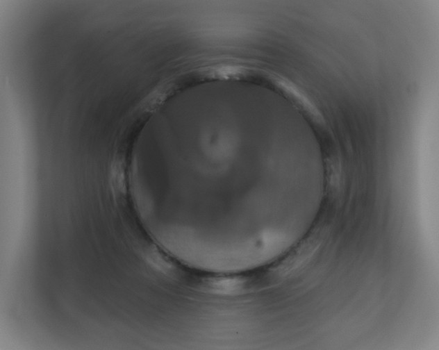 X0000110880313200906251254