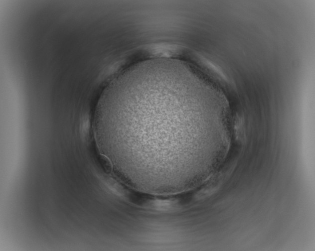X0000110880314200906251254