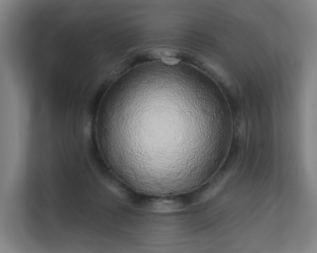 X0000110880315200906251254