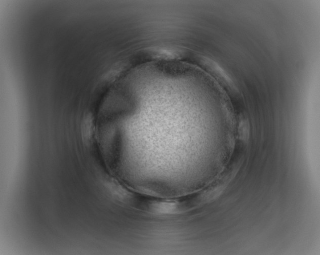 X0000110880318200906251254