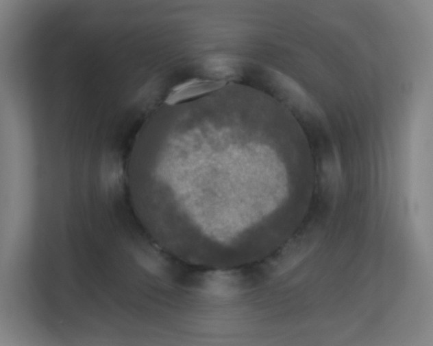 X0000110880320200906251254