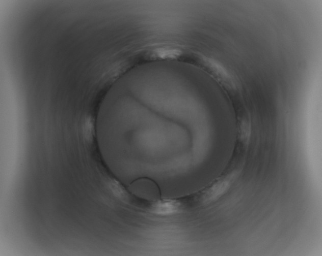 X0000110880321200906251254