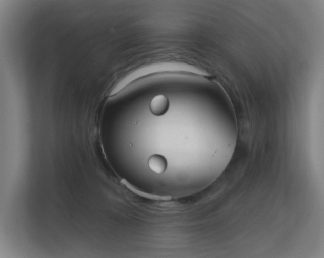 X0000110880324200906251254