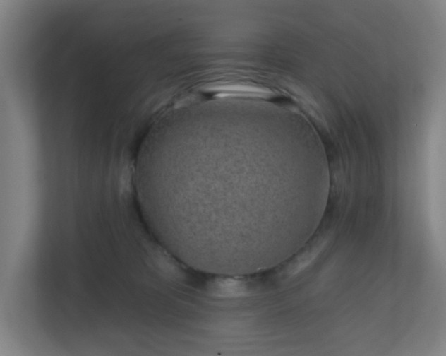X0000110880325200906251254