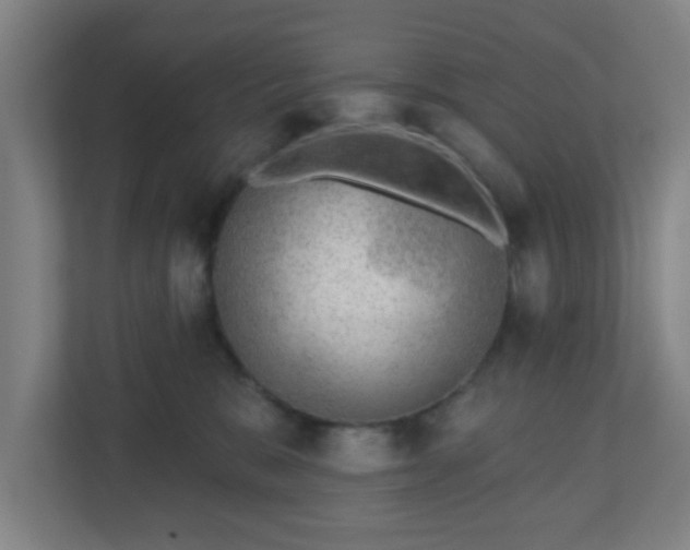 X0000110880327200906251254