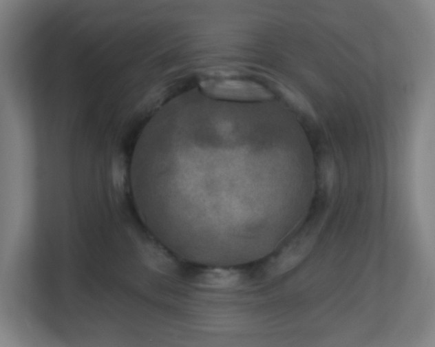 X0000110880328200906251254