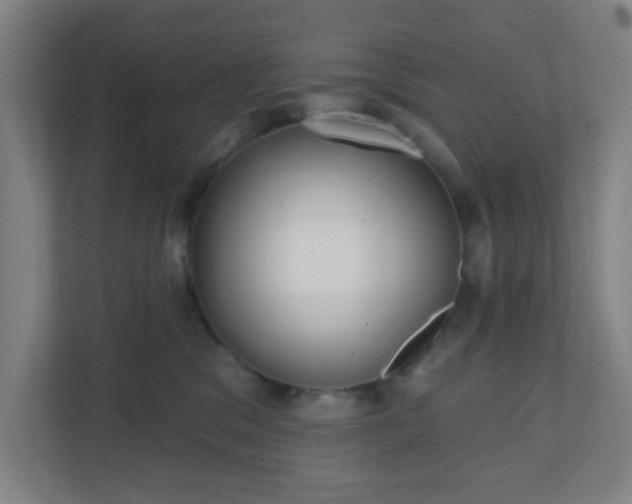 X0000110880329200906251254