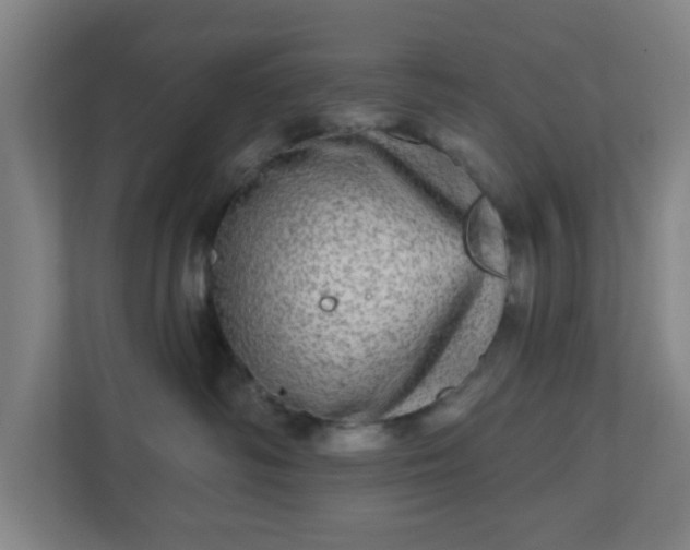 X0000110880334200906251254
