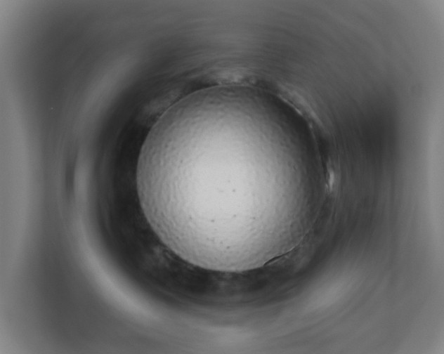 X0000110880335200906251254