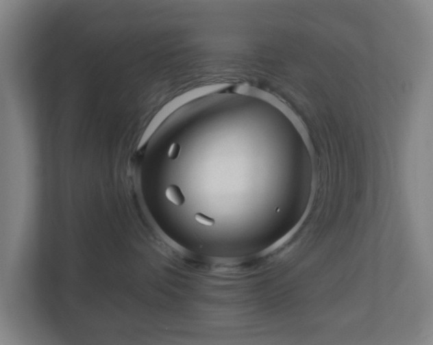X0000110880336200906251253