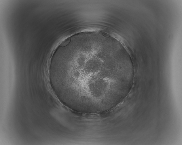 X0000110880337200906251253