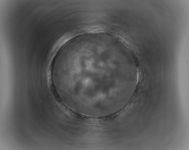 X0000110880339200906251253