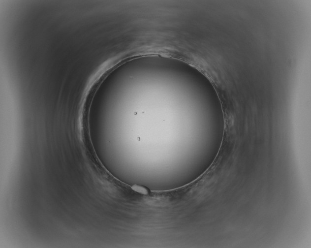 X0000110880340200906251253