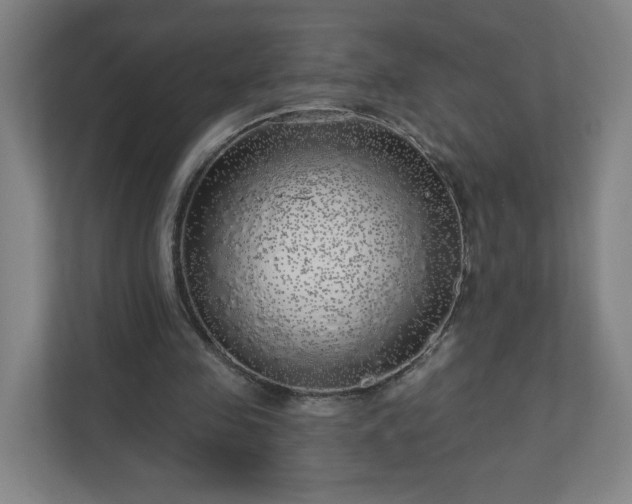 X0000110880341200906251253