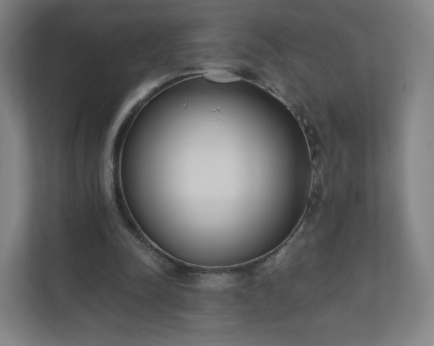X0000110880342200906251253