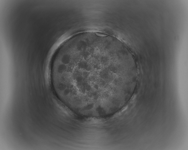 X0000110880343200906251253