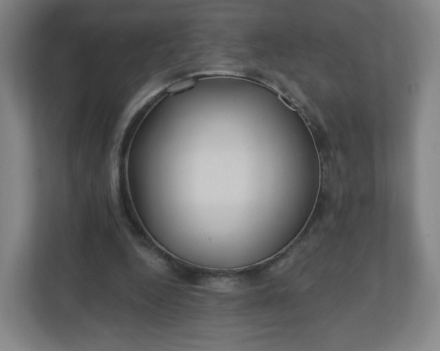 X0000110880344200906251253