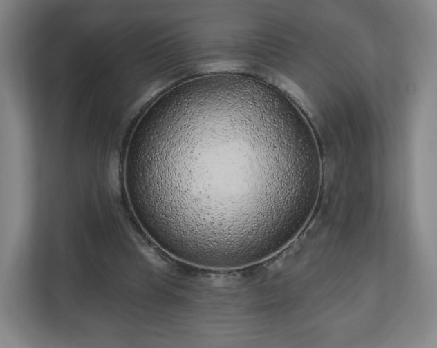 X0000110880345200906251253