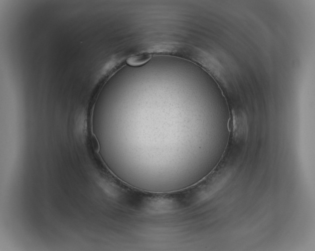 X0000110880348200906251253