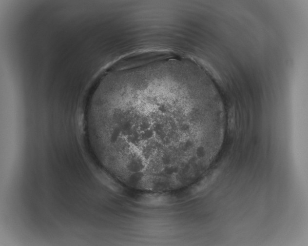 X0000110880351200906251253
