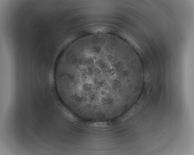 X0000110880353200906251253