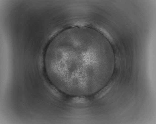 X0000110880354200906251253