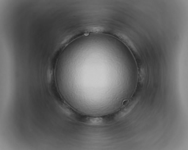 X0000110880355200906251253