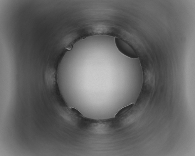 X0000110880356200906251253