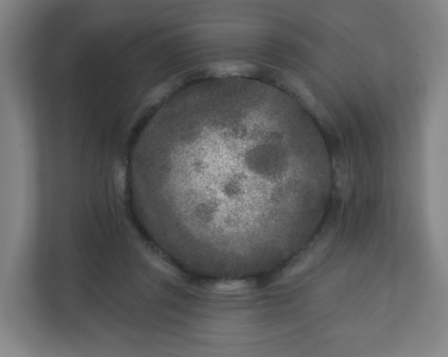 X0000110880357200906251253