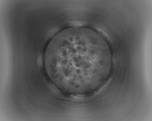 X0000110880359200906251253
