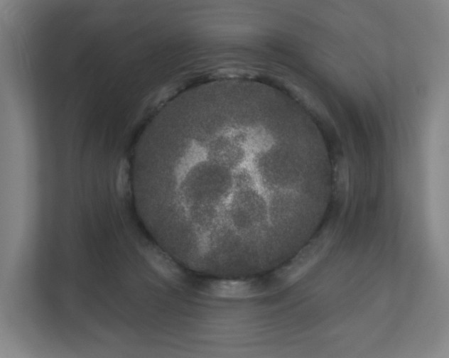 X0000110880361200906251253