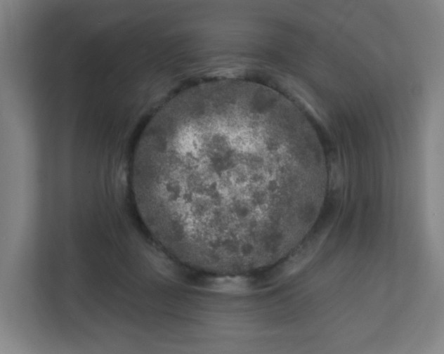 X0000110880363200906251253