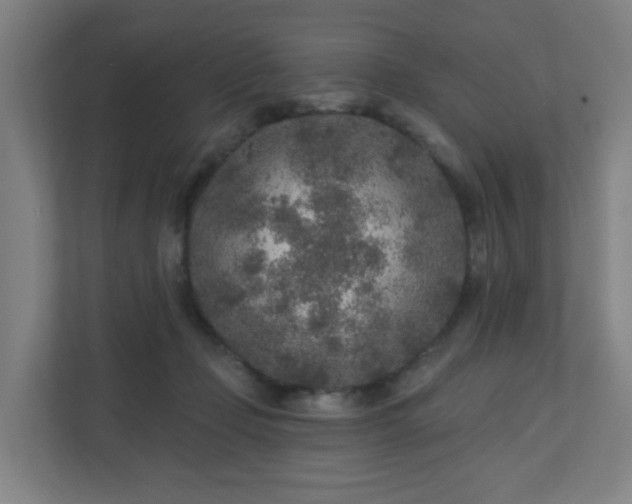 X0000110880365200906251253