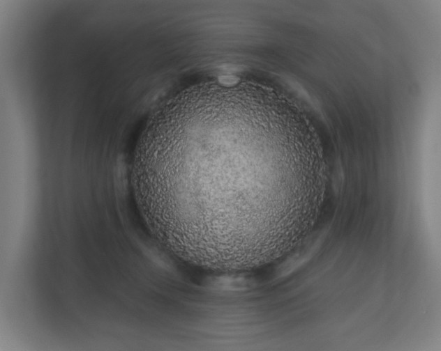 X0000110880366200906251253