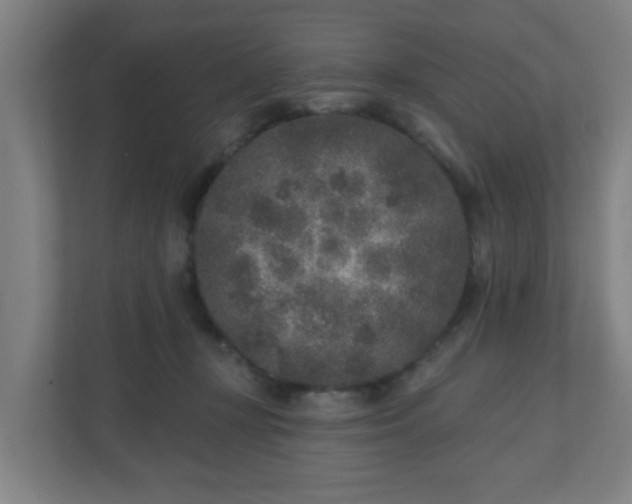 X0000110880367200906251253