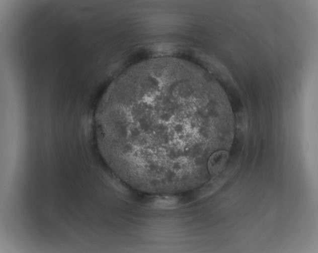X0000110880369200906251253