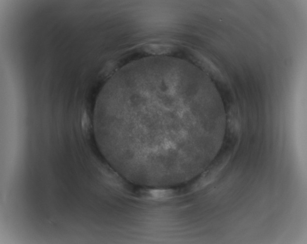 X0000110880371200906251253