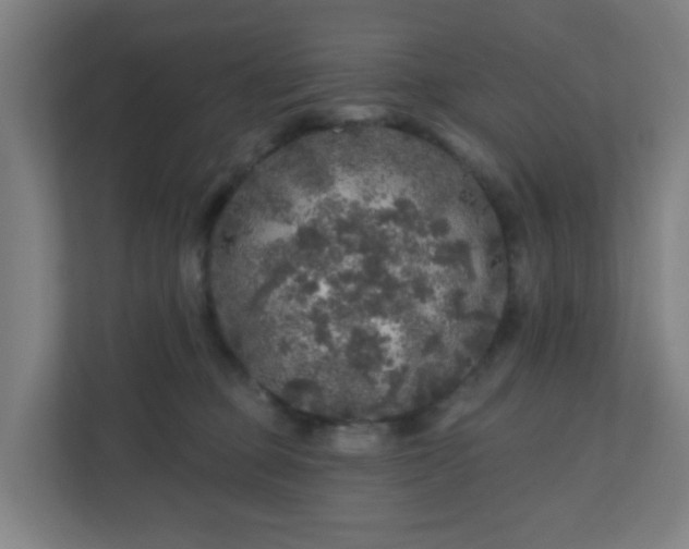 X0000110880373200906251253