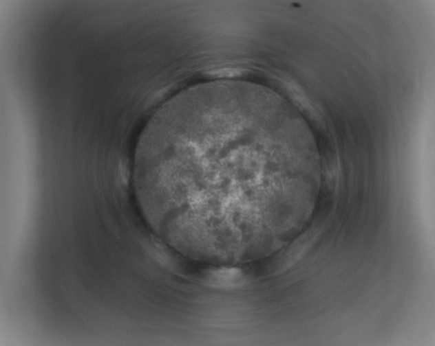 X0000110880374200906251253