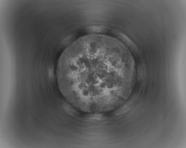 X0000110880377200906251253