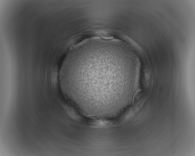 X0000110880379200906251253