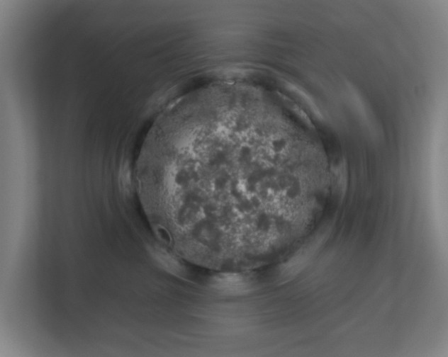 X0000110880381200906251253