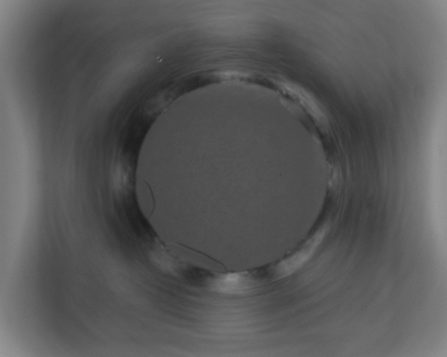 X0000110880382200906251253