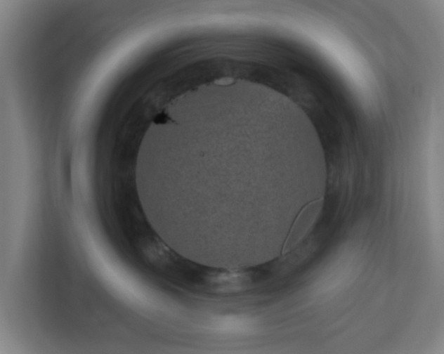 X0000110880383200906251253
